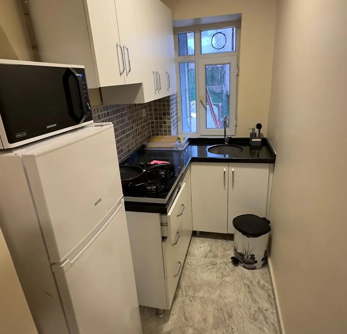 Lejlighed Albatros Apart Suite Istanbul Tyrkiet