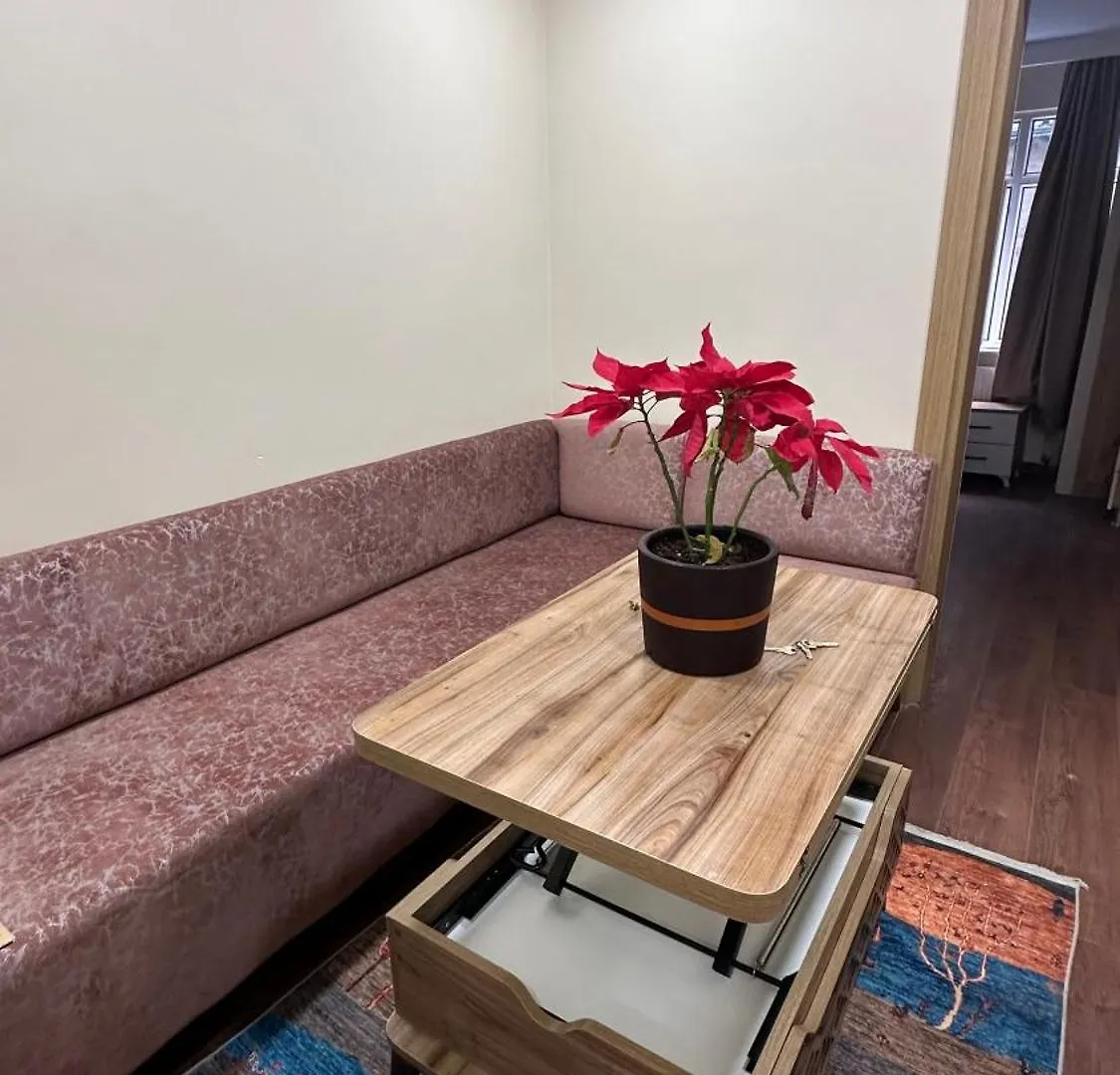 Albatros Apart Suite Istanbul Tyrkiet